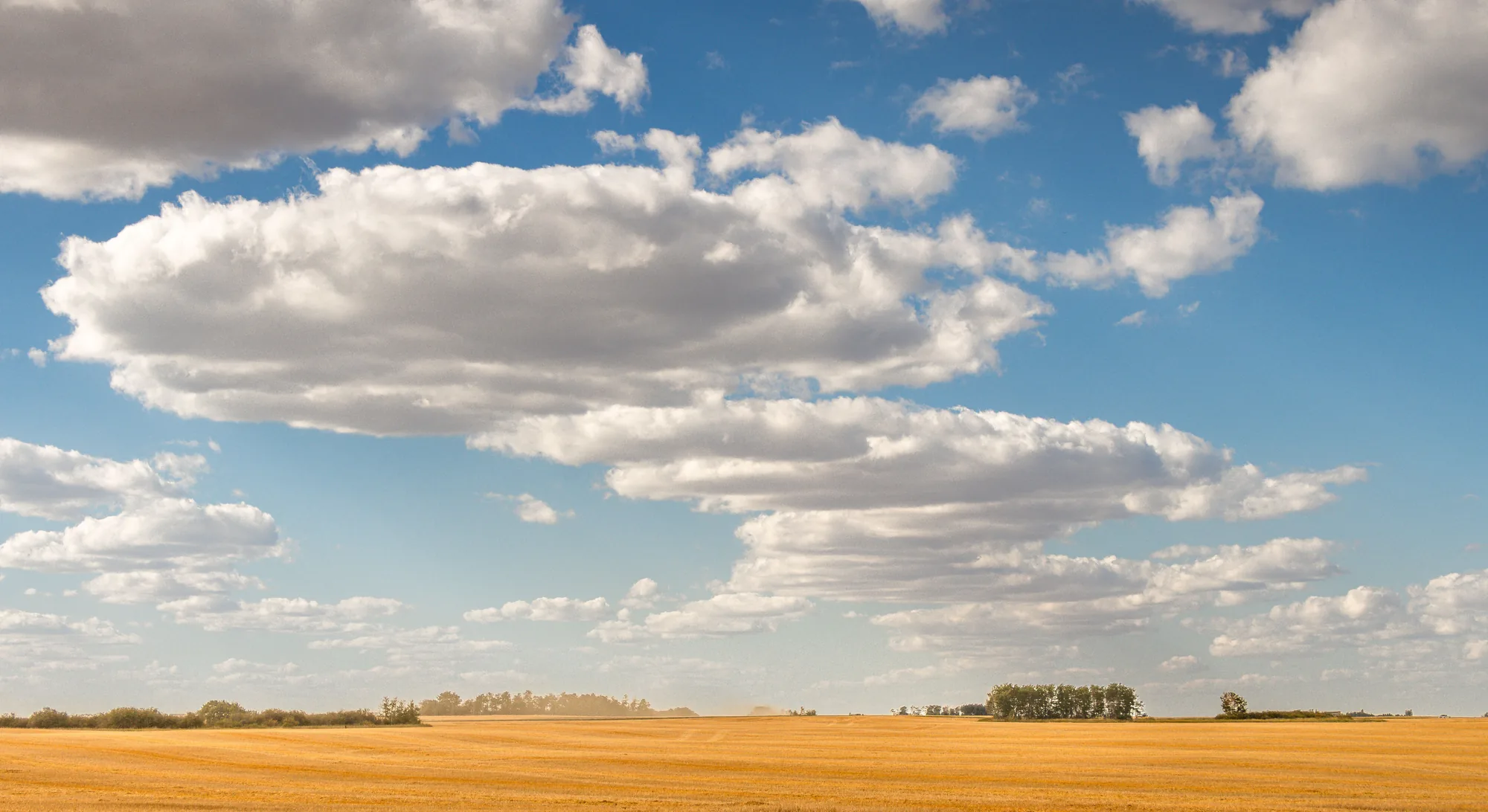TeleTest Is Now in Saskatchewan: Online STI Testing and Prescriptions